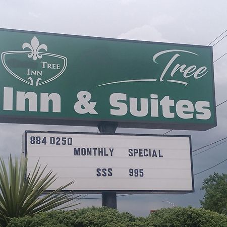 Tree Inn & Suites Albuquerque Kültér fotó