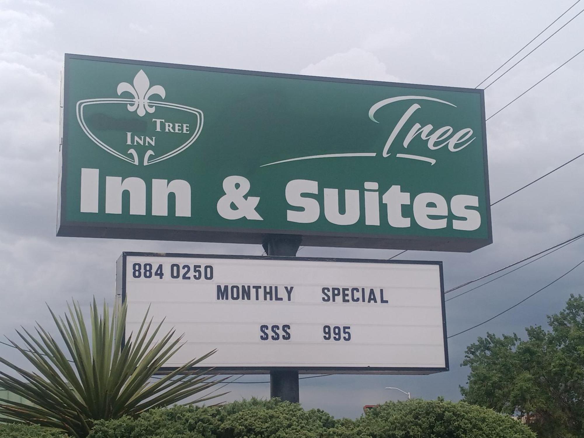 Tree Inn & Suites Albuquerque Kültér fotó